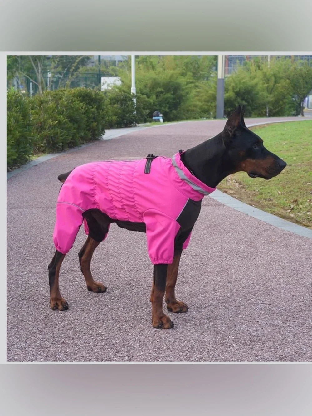 NWT 21.5” Back Full Body Outdoor Jacket with Leash Ring, Fleece Lining